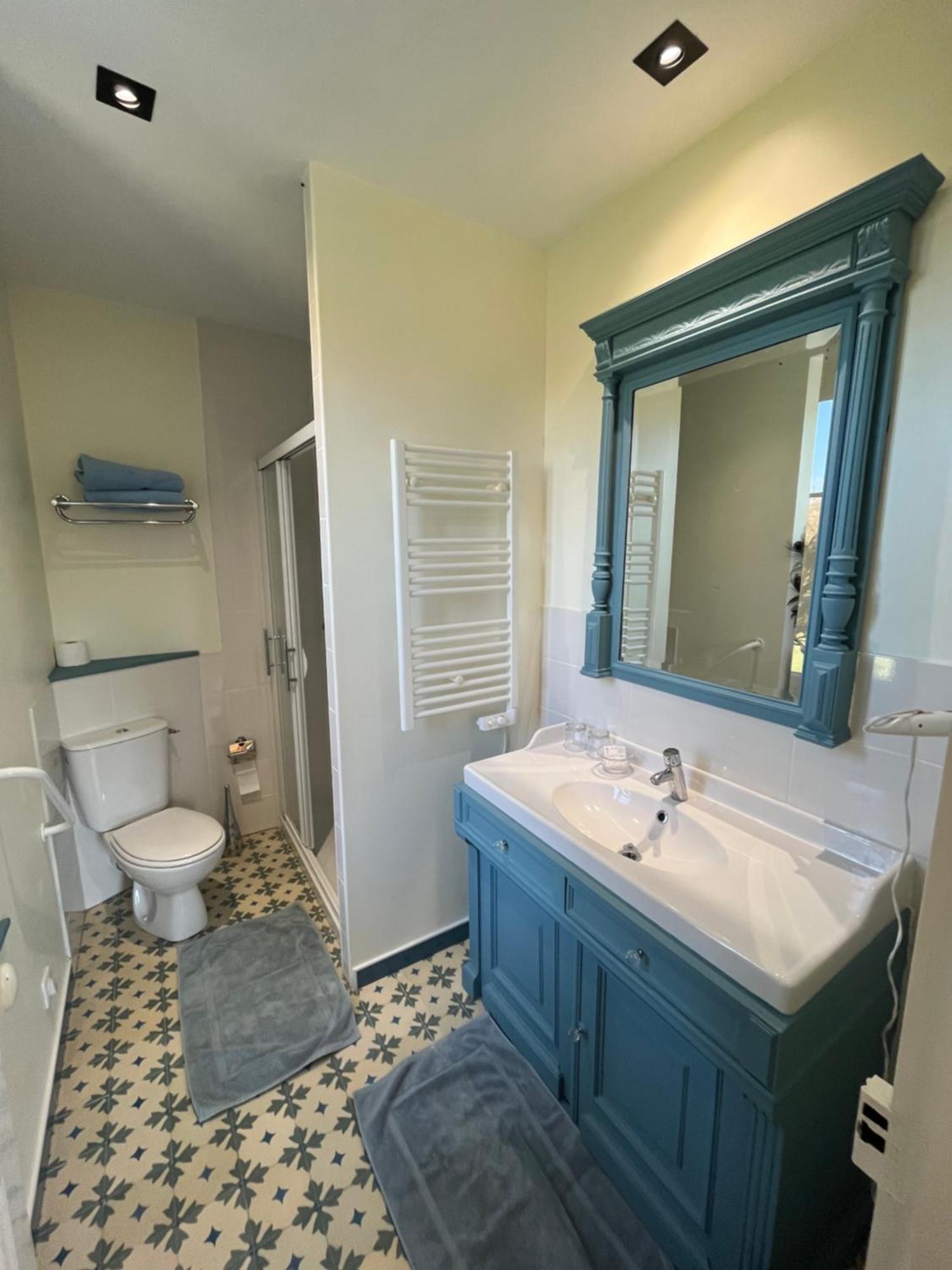 Bed and Breakfast Manoir Du Val Fouzon - Beauval La Vernelle Exterior foto